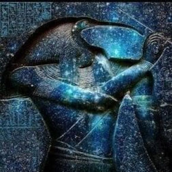 Meet your Posher, Colin - Picture 1 of 1